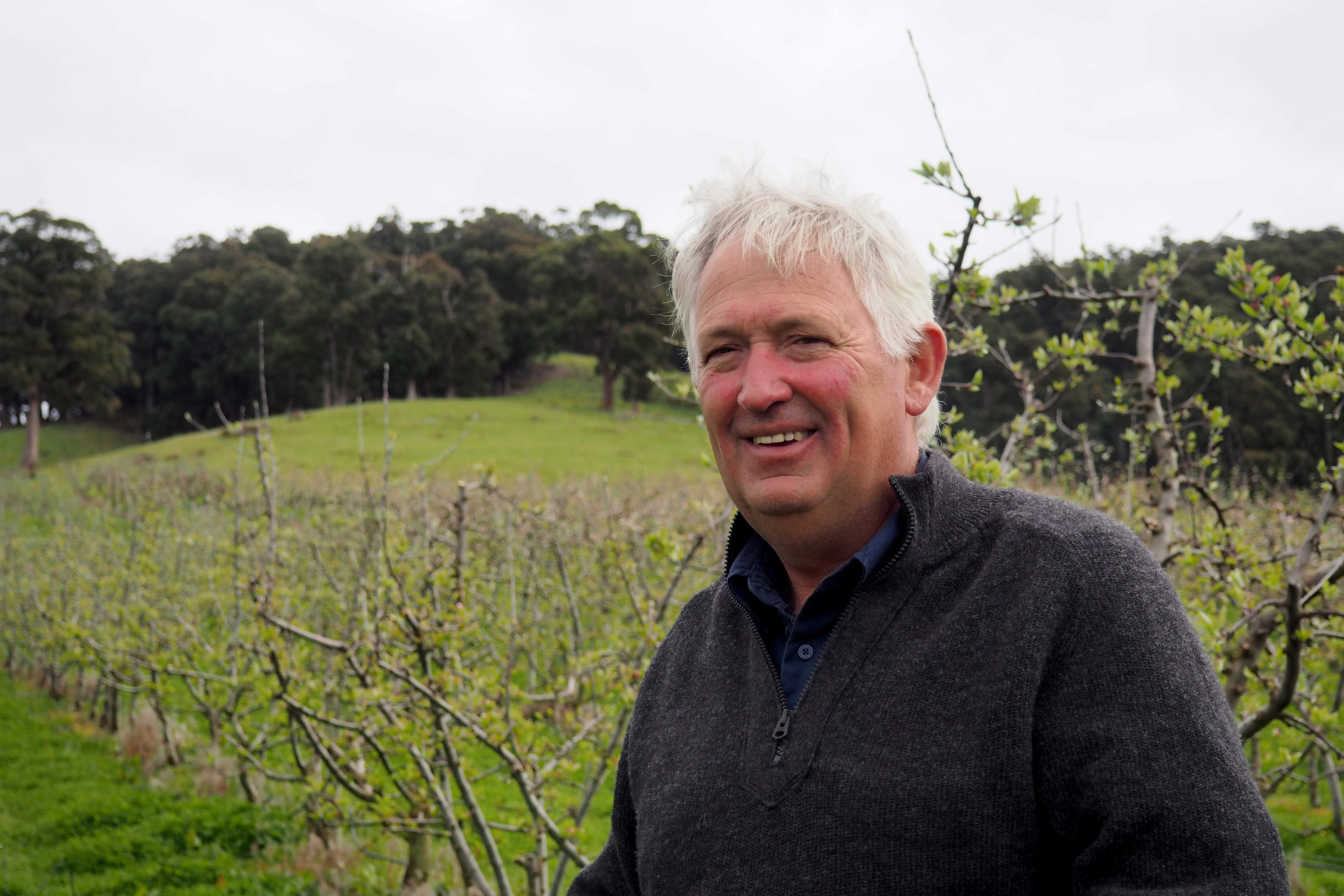 Andrew Scott at Scott Brothers. Photo: Fruit Growers Tasmania.