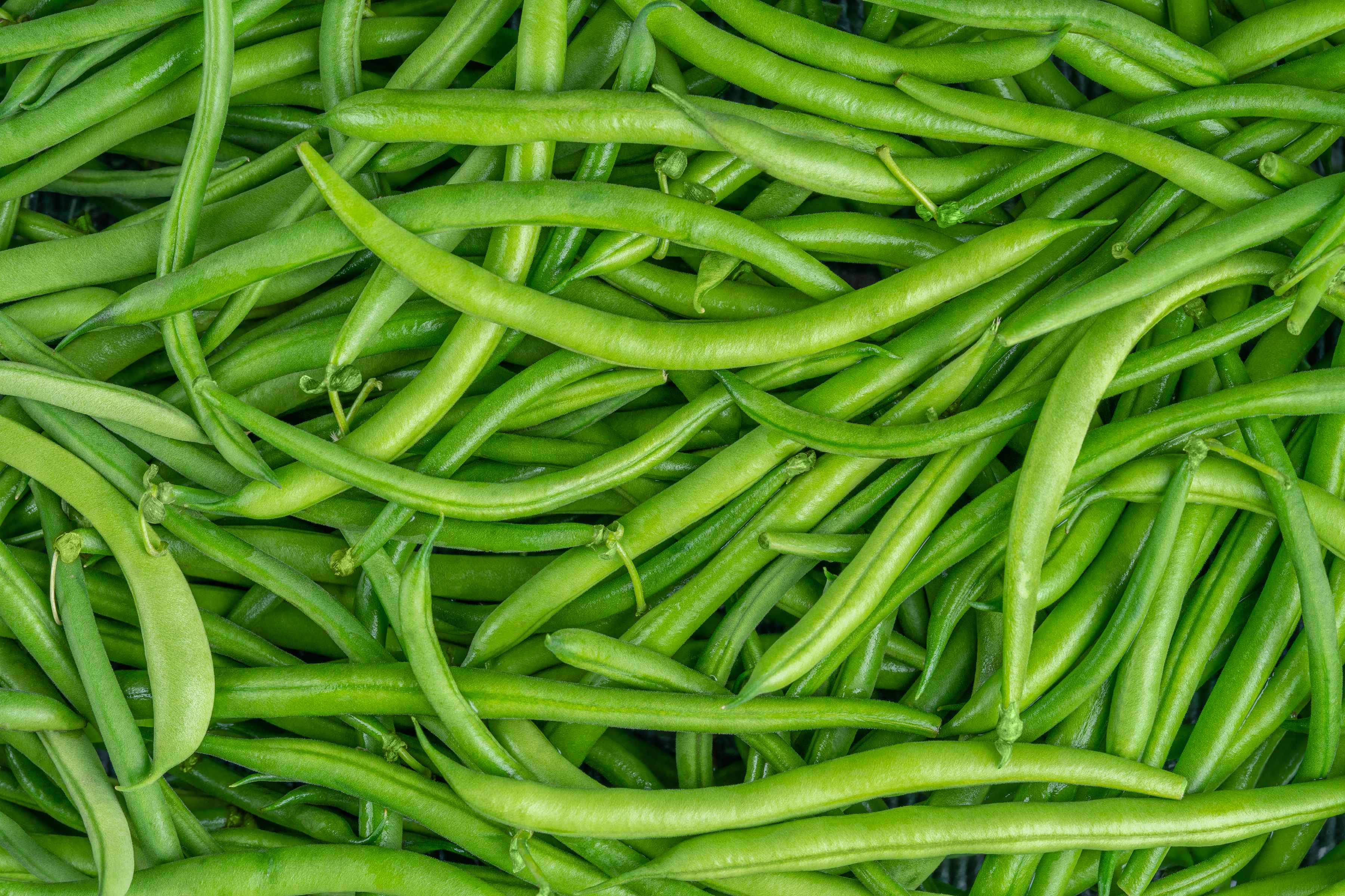 Green beans. Photo: Serhii Tychynskyi / iStock.