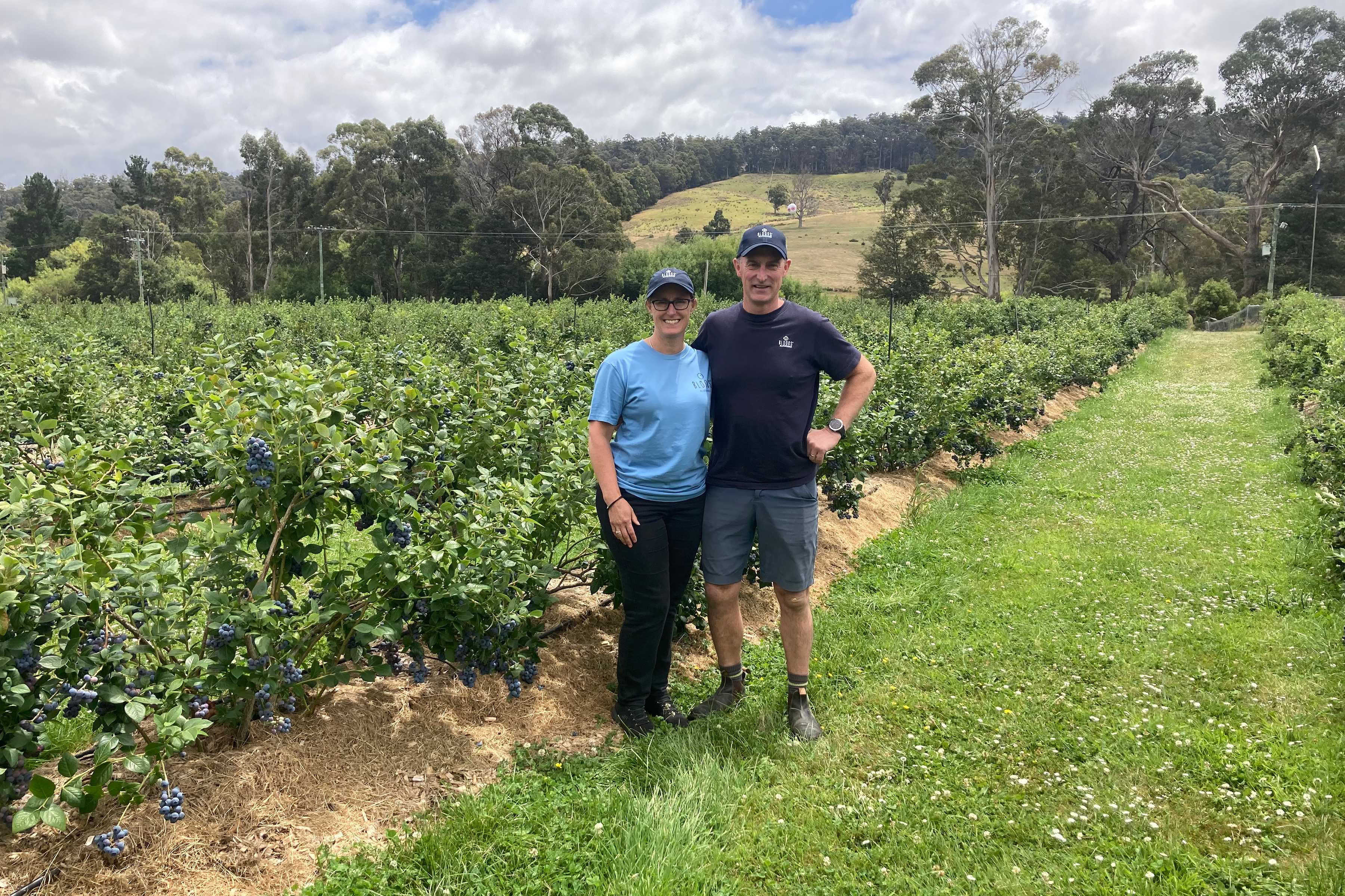 Tim and Jo Muir of Bloobs Blueberries, Southern Tasmania. Photo: Fruit Growers Tasmania.