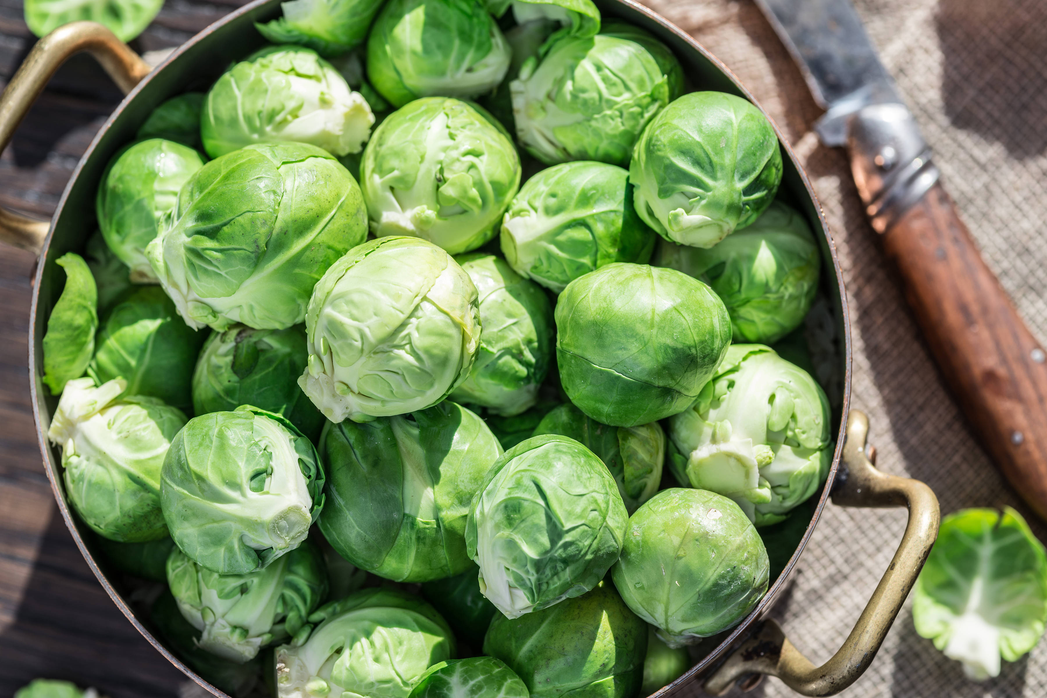 Brussels sprouts in a pot. Photo: ValentynVolkov / iStock.