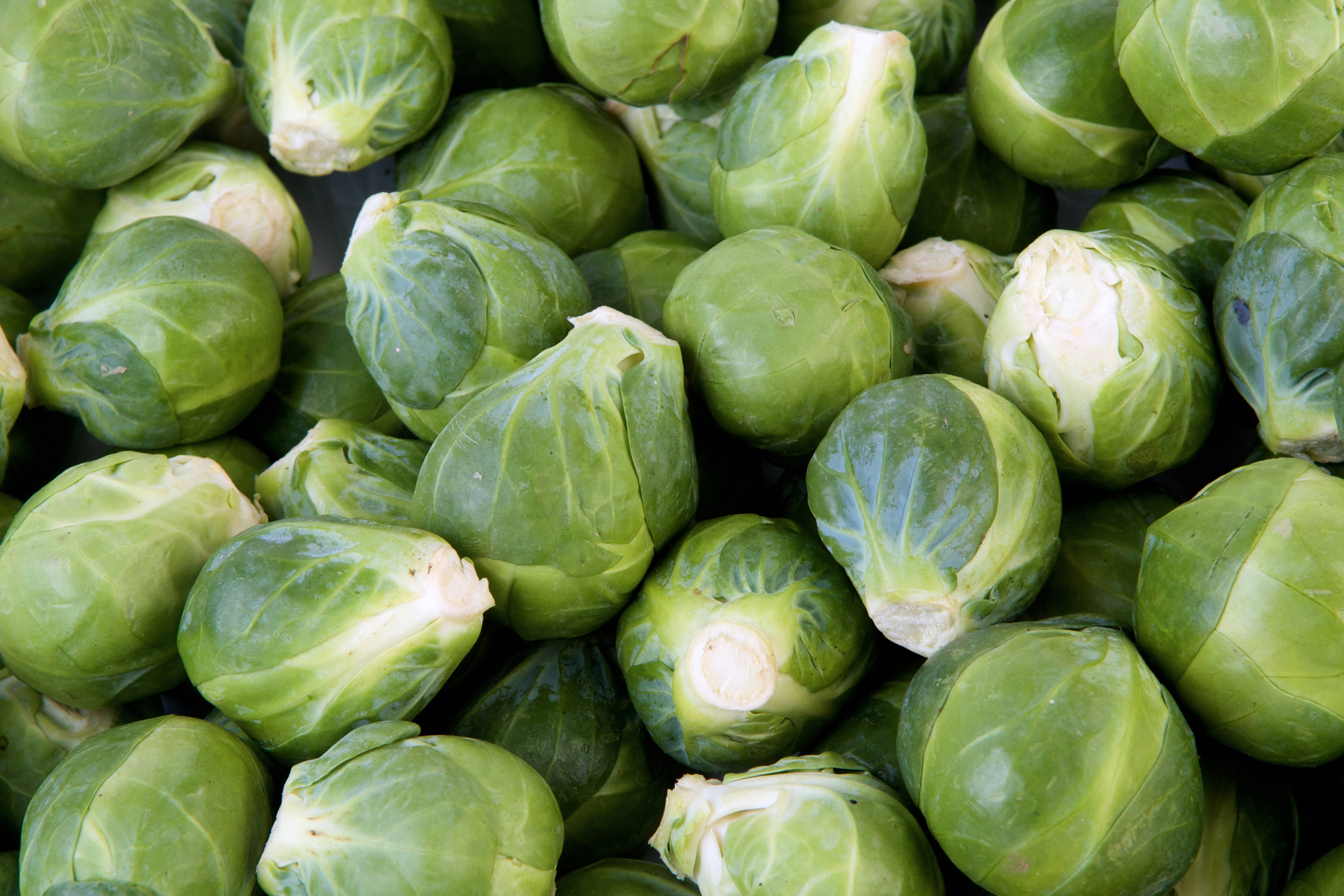 Brussels sprouts. Photo: AndyVernum1 / iStock.