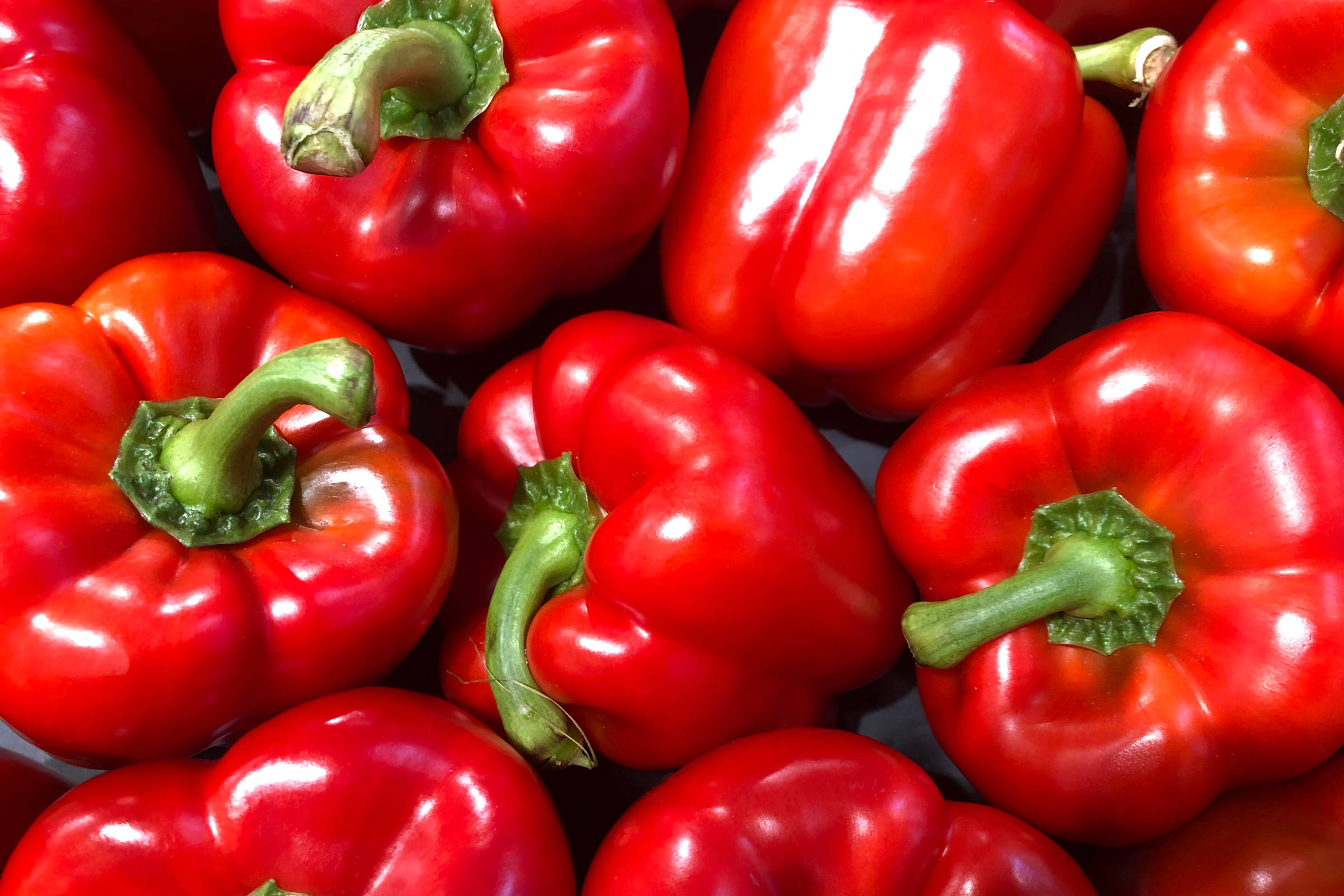 Capsicums — Shiny, sweet & crisp. | Tasmanian Grown