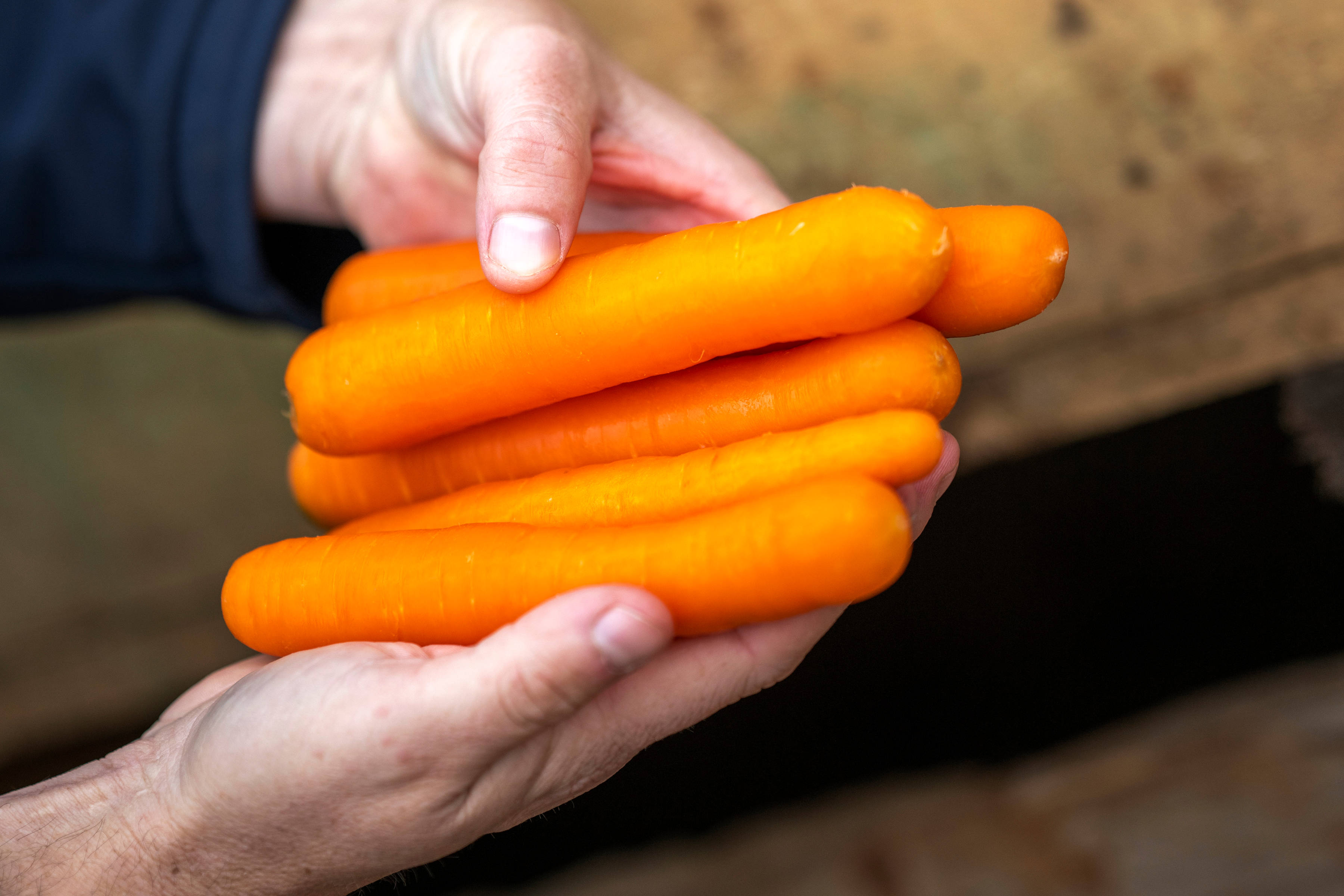 Carrots by Harvest Moon, North-West Tasmania. Photo: Rob Burnett.