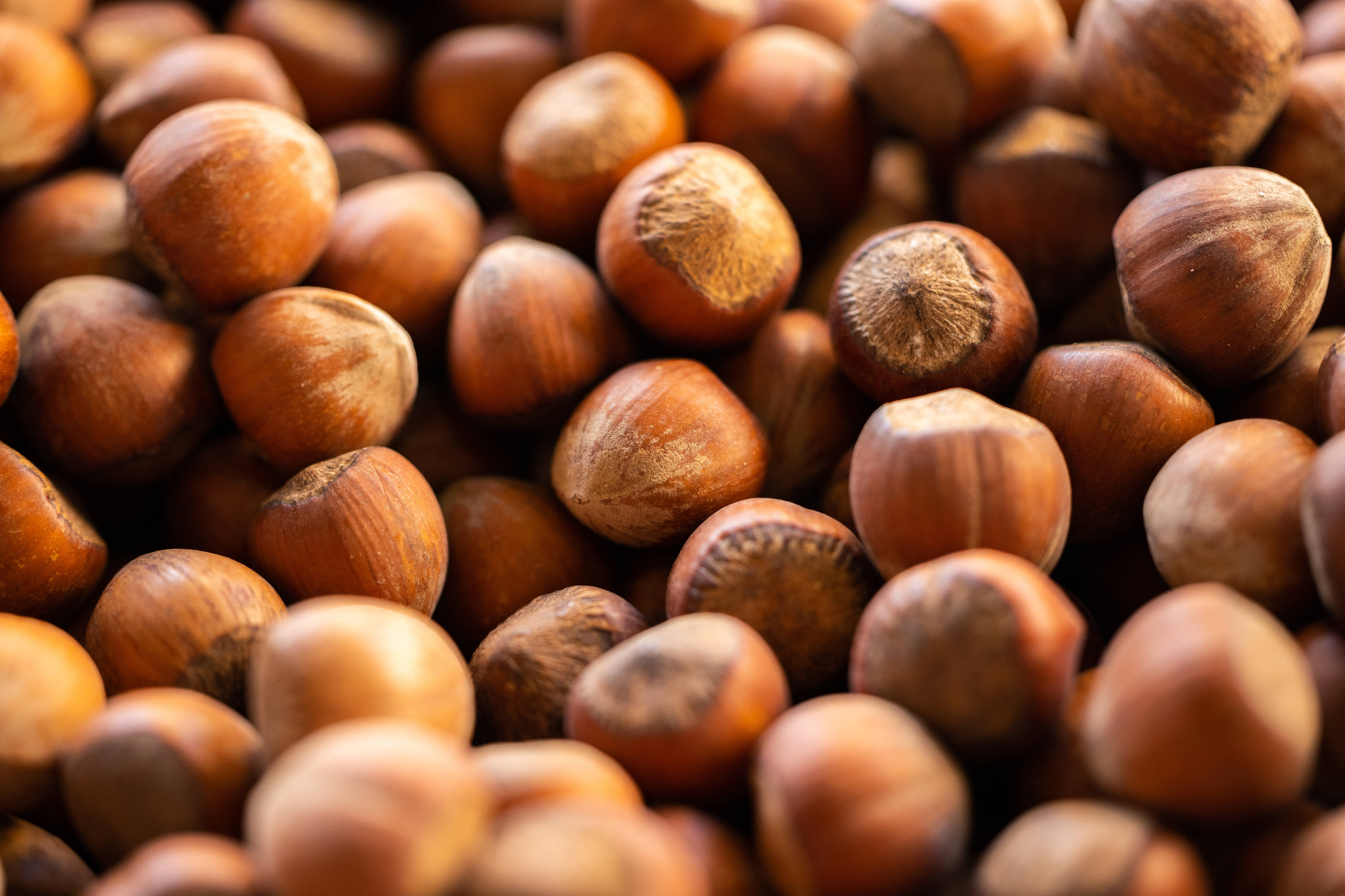 Hazelnuts. Photo: engin akyurt / Unsplash.