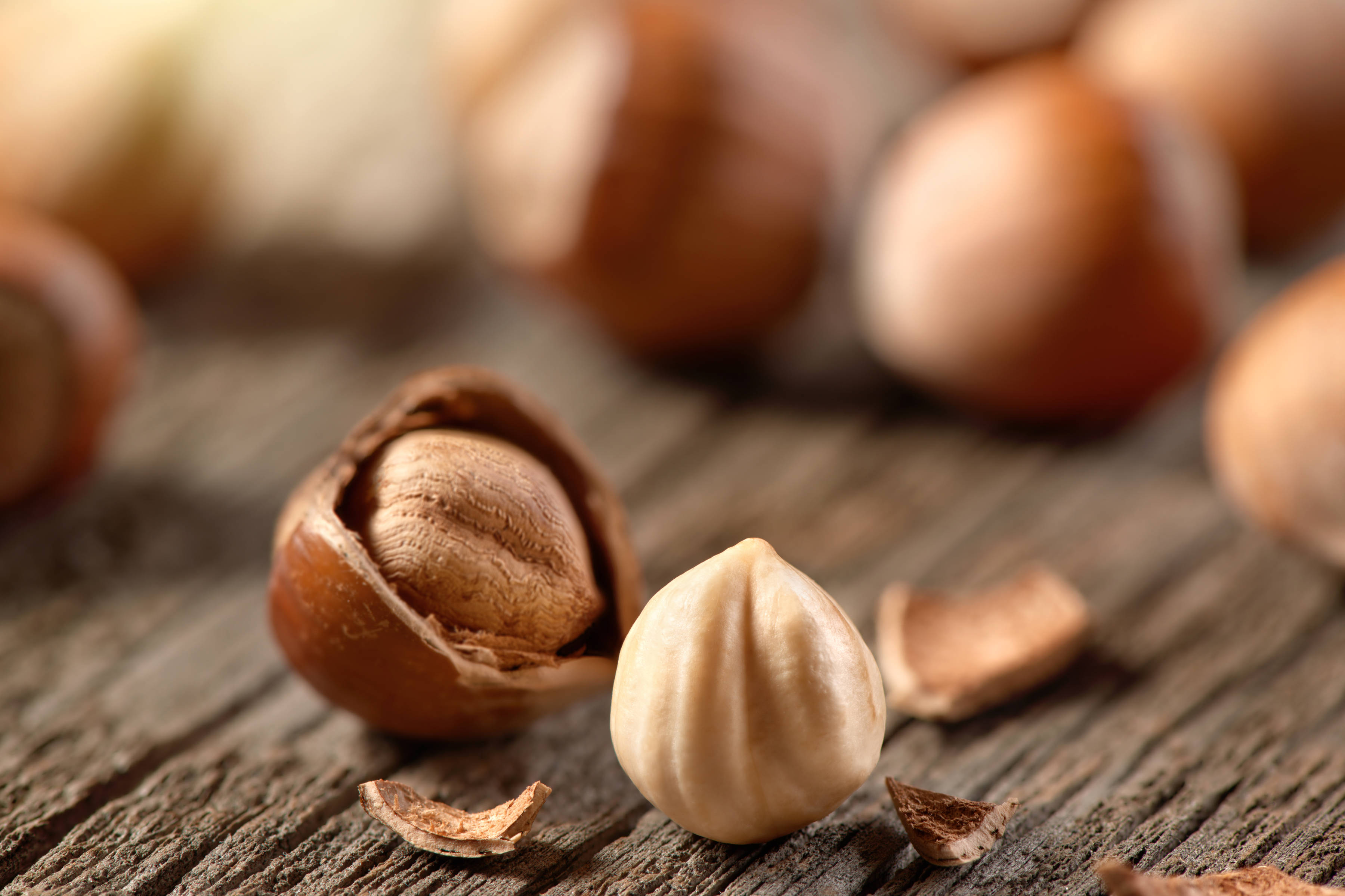 Hazelnuts. Photo: vfoto / iStock.