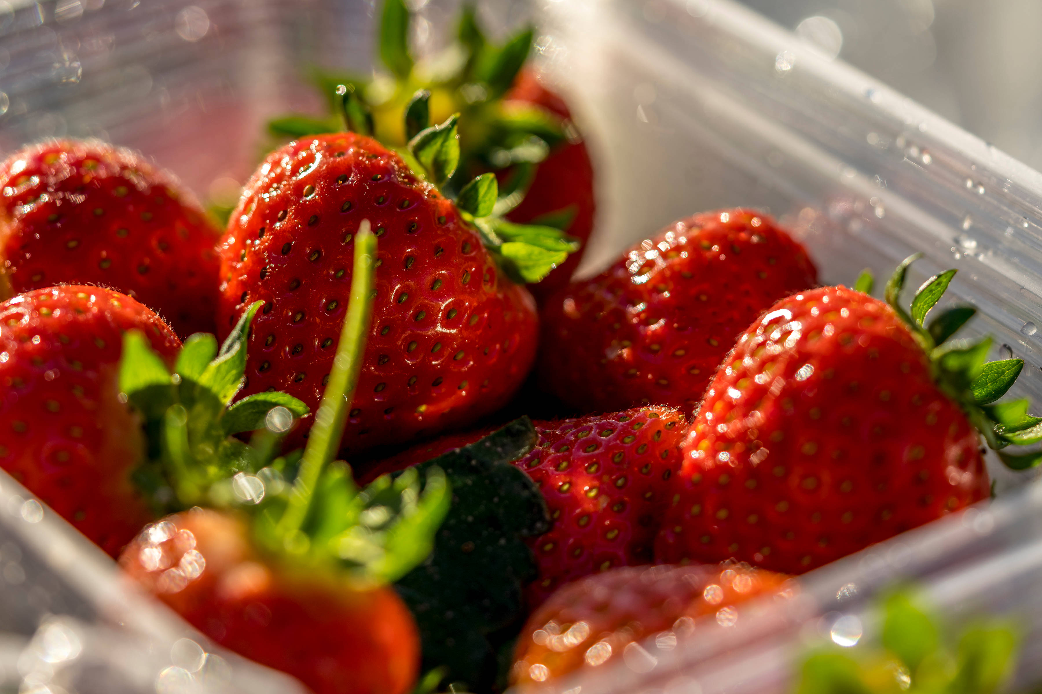 Strawberries by Hillwood Berries, North-West Tasmania. Photo: Rob Burnett.