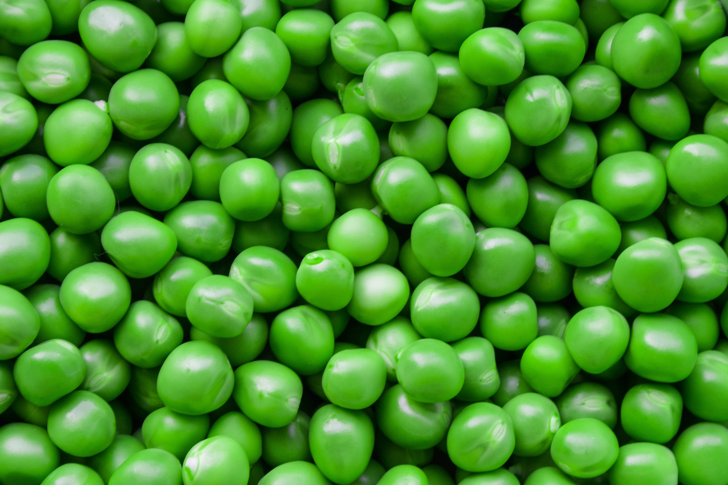 Peas — Green, sweet and firm Tasmanian Grown