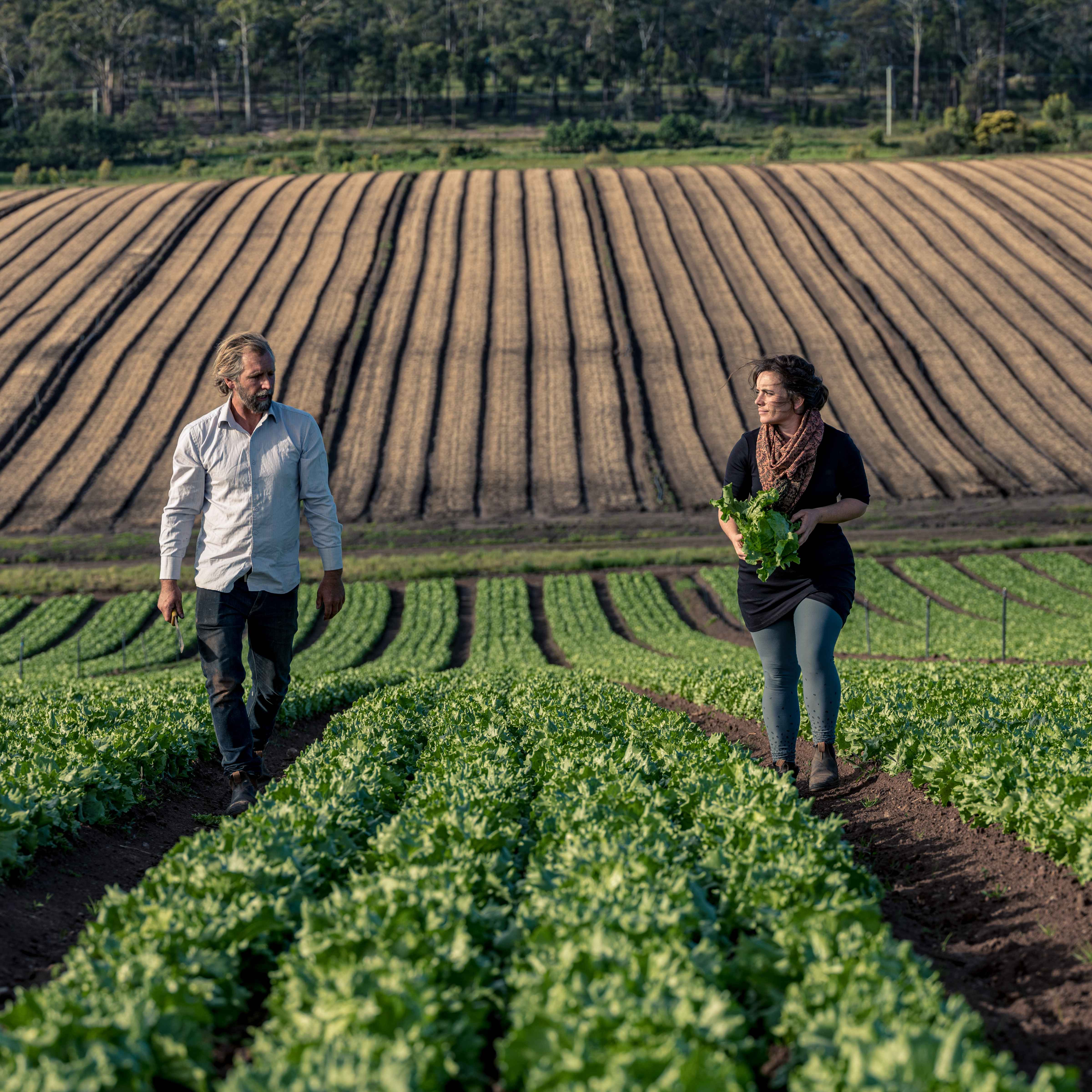 About Tasmanian Grown Tasmanian Grown
