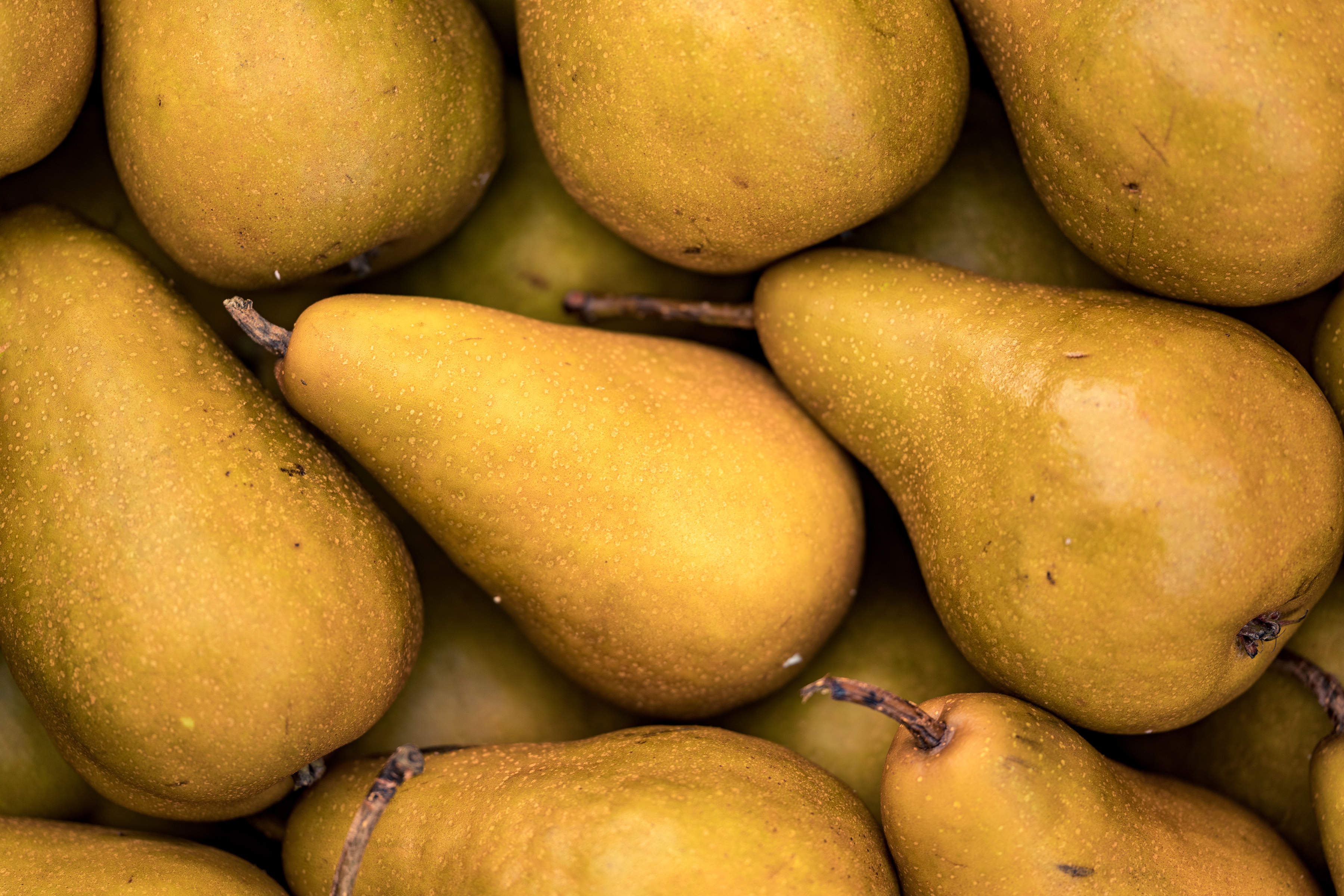 Pears by Tasman Peninsula Pears. Photo: Andrew Wilson.